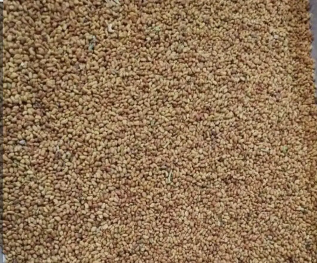 بزر یونجه بوجاری شده درجه یک|خدمات باغبانی و درختکاری|نهاوند, |دیوار