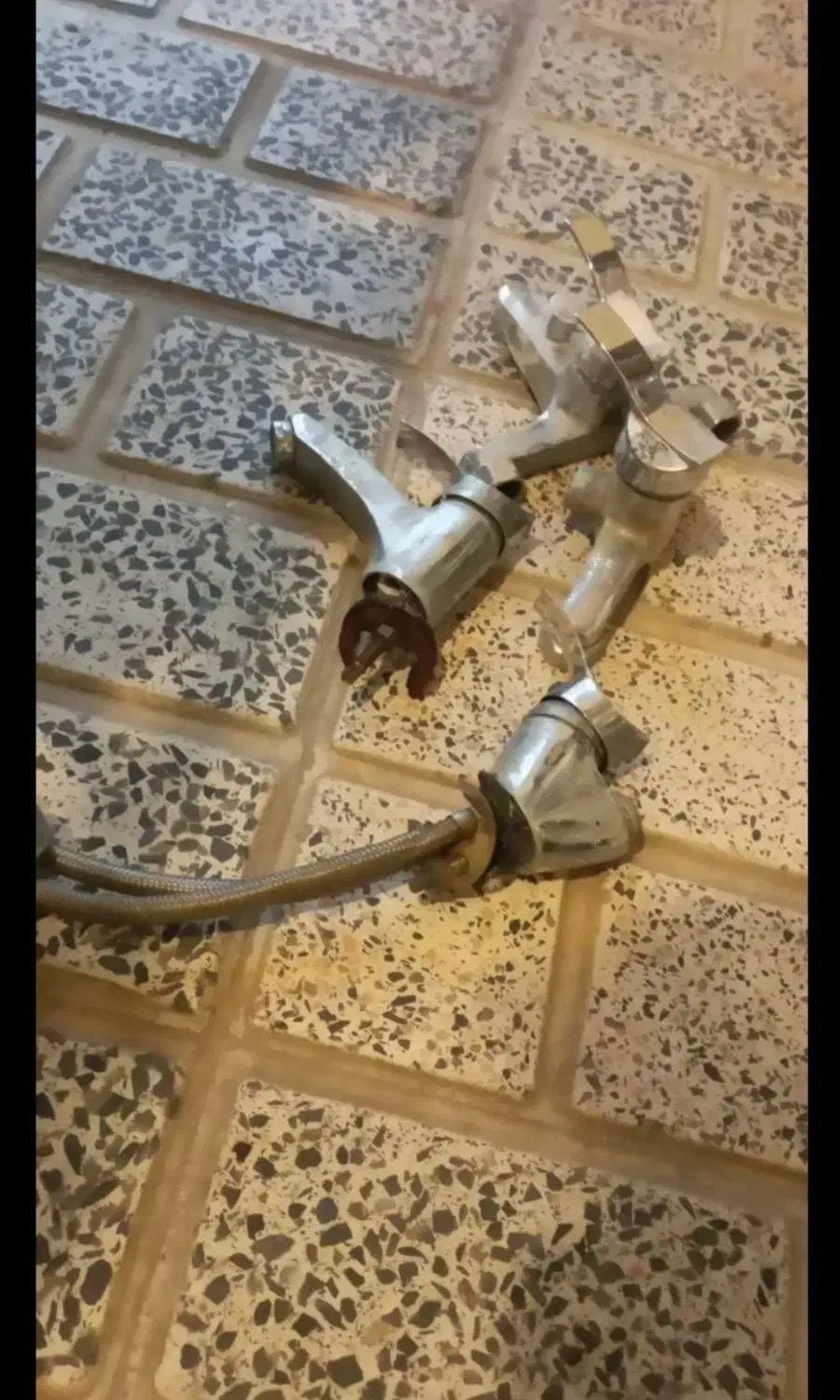 خرید ضعایت|کلکسیون اشیاء عتیقه|کرج, کرج نو|دیوار