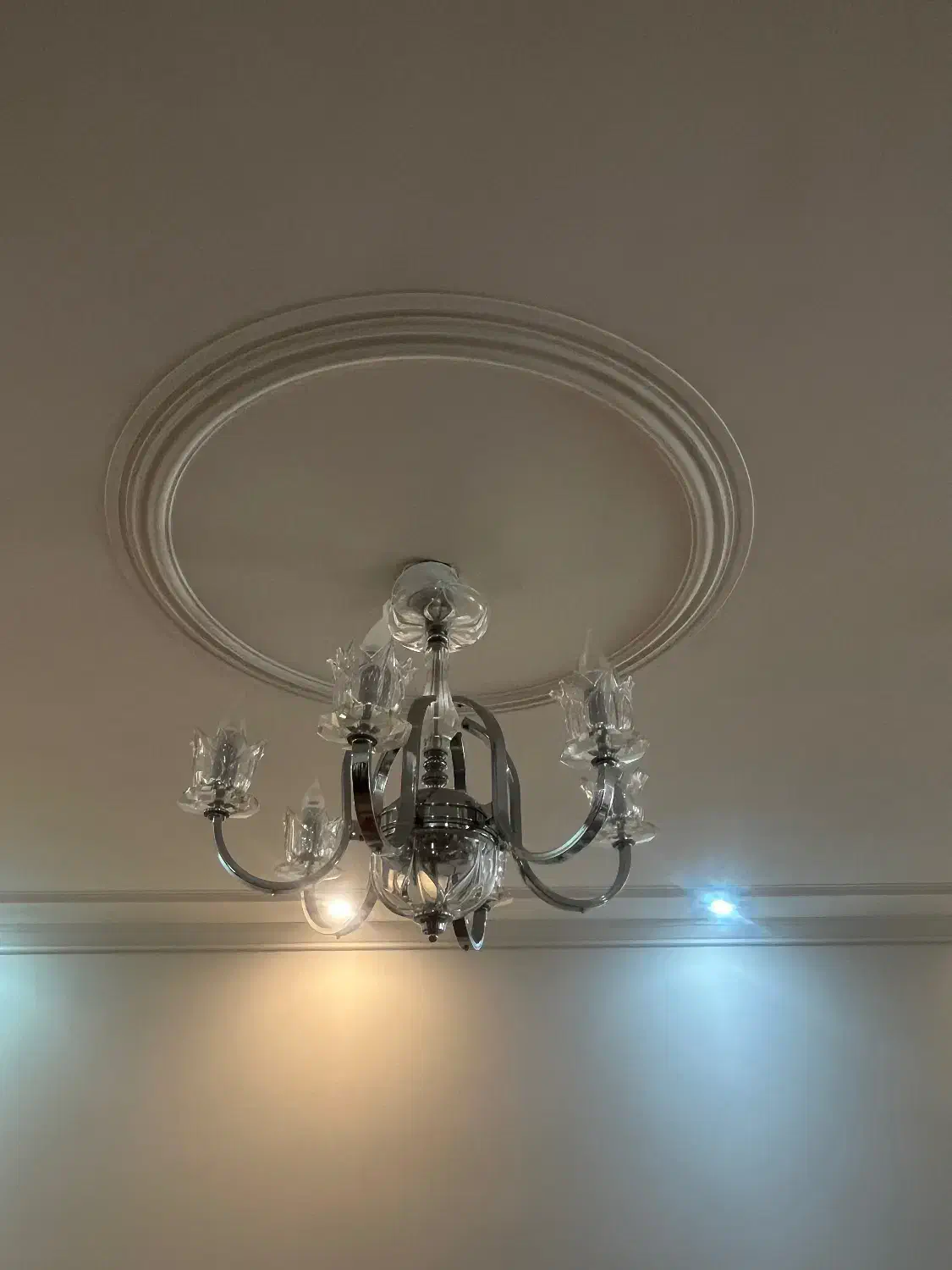 لوستر|لوستر و چراغ آویز|بوشهر, |دیوار