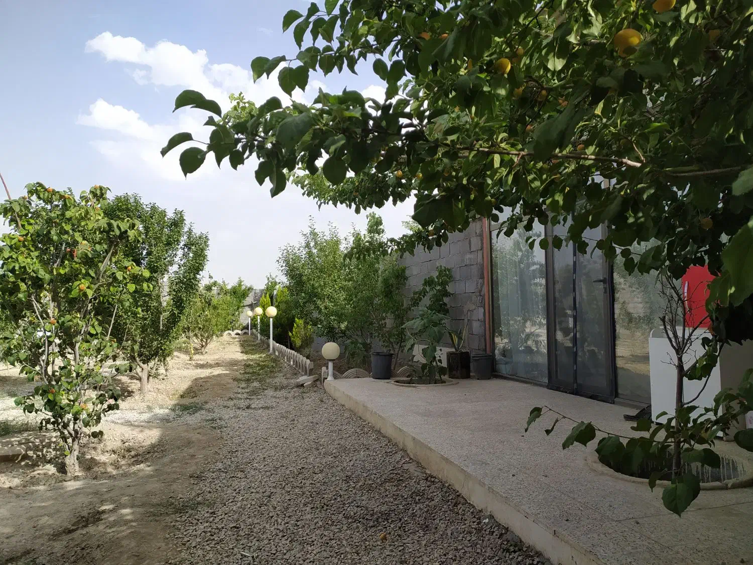 فروش باغ 500متری علیشاهدان|فروش خانه و ویلا|پیر بکران, |دیوار