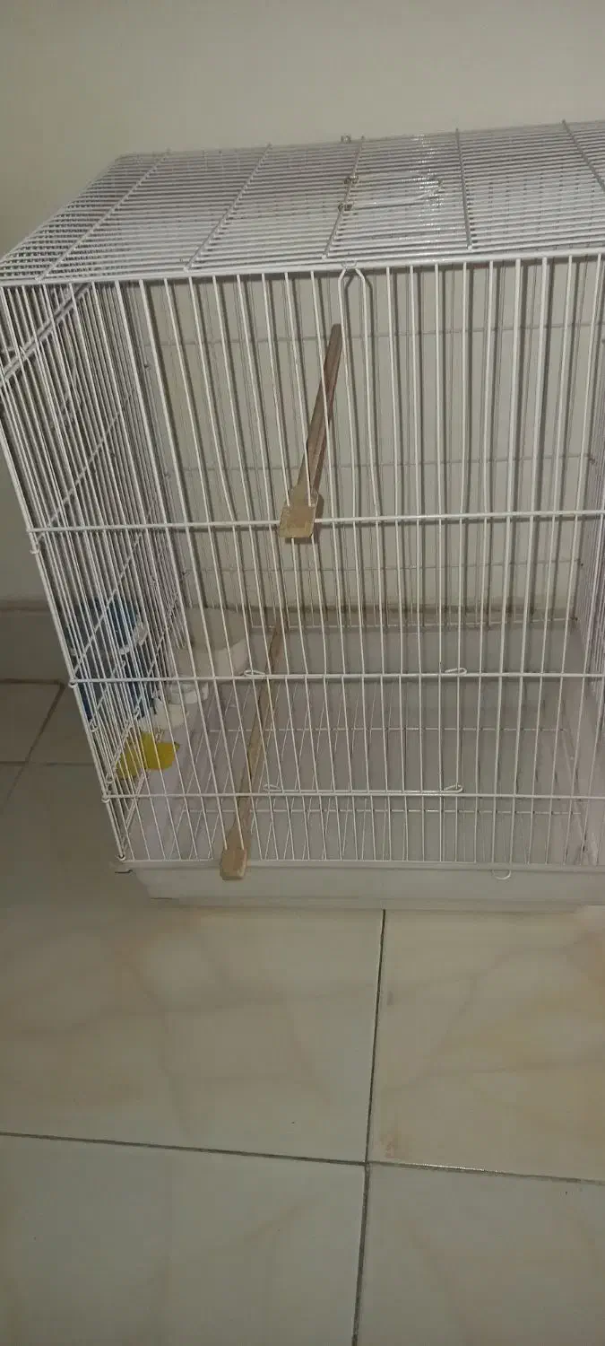 قفس پرنده|لوازم جانبی حیوانات|کرج, برغان|دیوار
