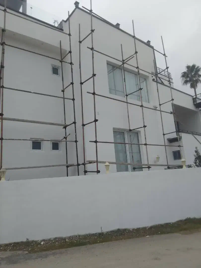 نقاشی ساختمان تحویل فوری نور تا نوشهر نوشهر|خدمات پیشه و مهارت|رویان, |دیوار