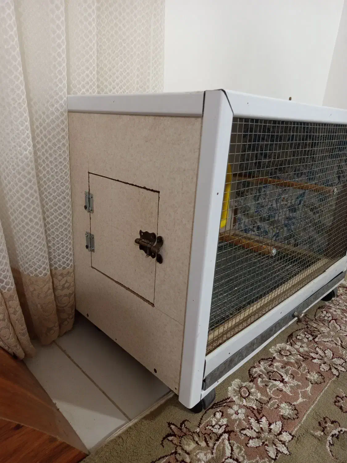 قفس طوطی|لوازم جانبی حیوانات|سمنان, |دیوار