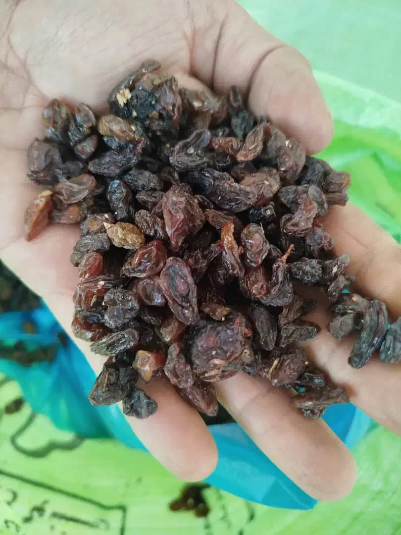 کشمش ومویز|خوردنی و آشامیدنی|ارومیه, |دیوار