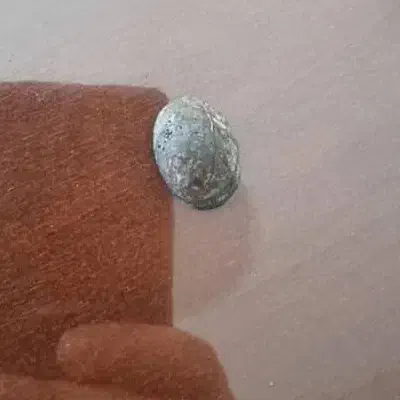 فیروزه نیشابور|جواهرات|بروجرد, |دیوار