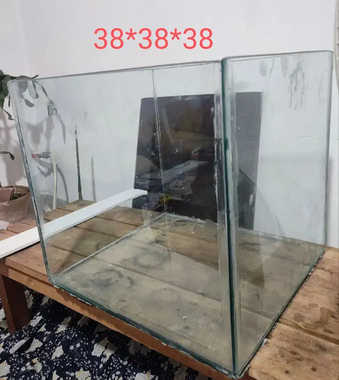 آکواریوم|ماهی|لنگرود, |دیوار