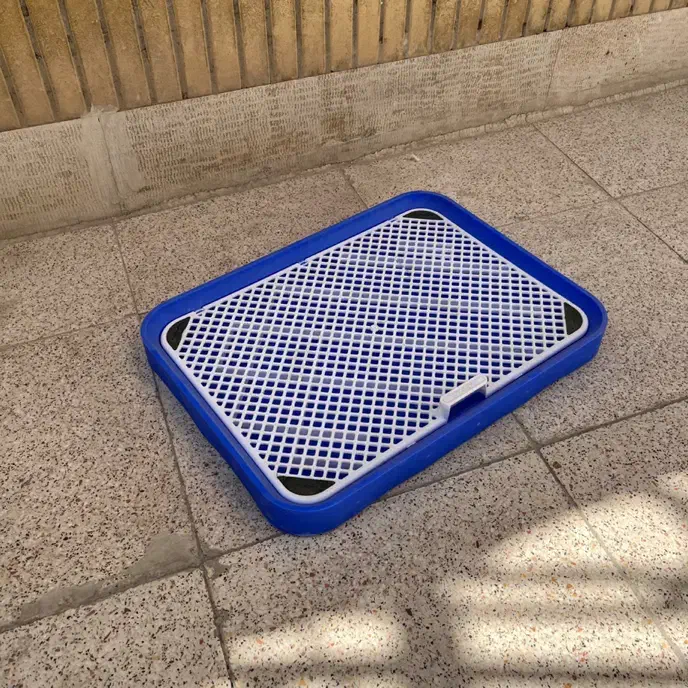 باکس سگ سینی ادرار|لوازم جانبی حیوانات|اصفهان, ملکشهر|دیوار