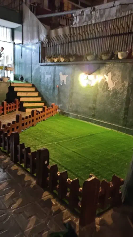 چمن مصنوعی در هرمتراژ/نواری(بین سنگی)|خدمات باغبانی و درختکاری|تهران, شهرک هما|دیوار