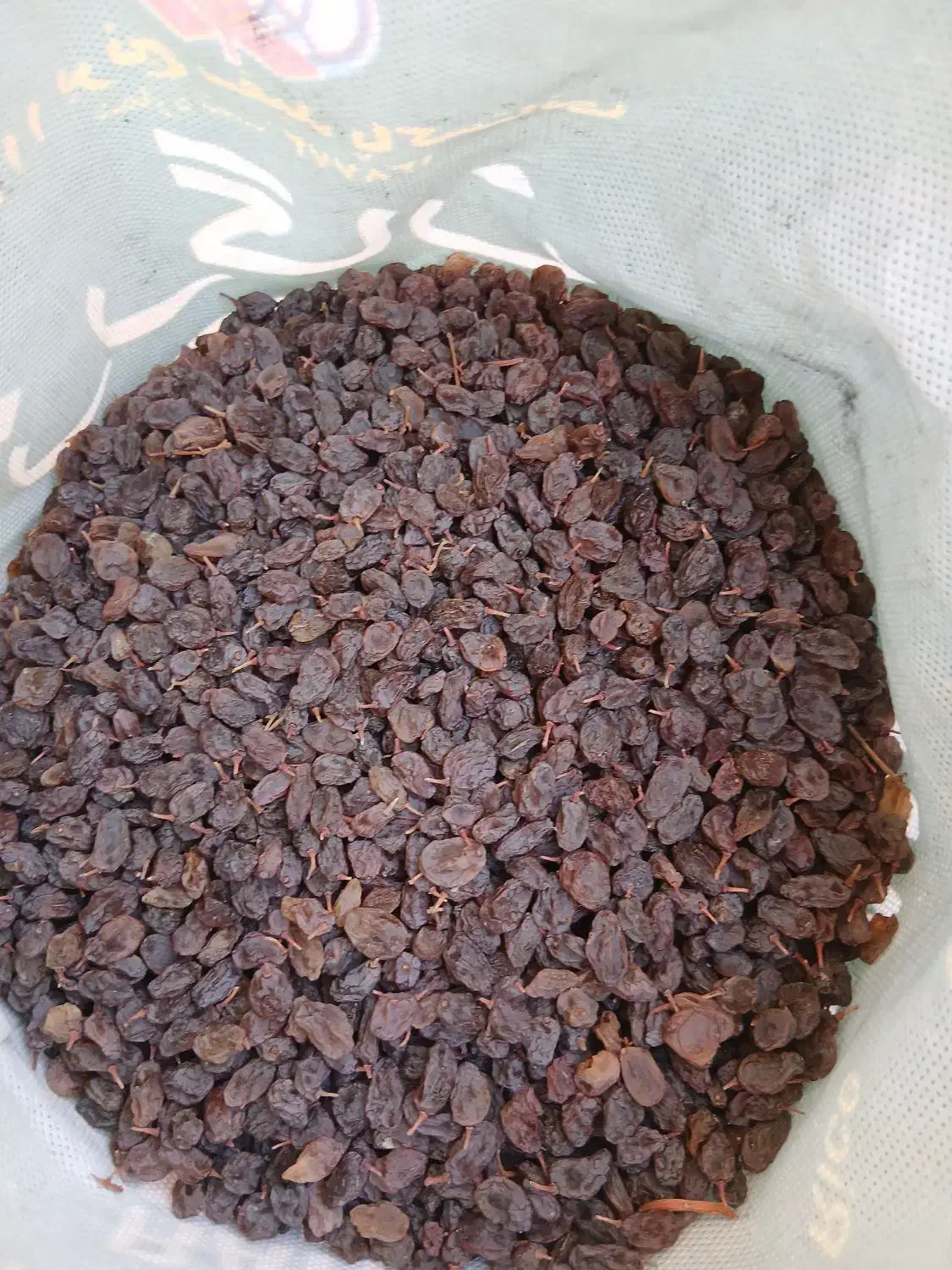 کشمش بیدانه|خوردنی و آشامیدنی|تاکستان, |دیوار