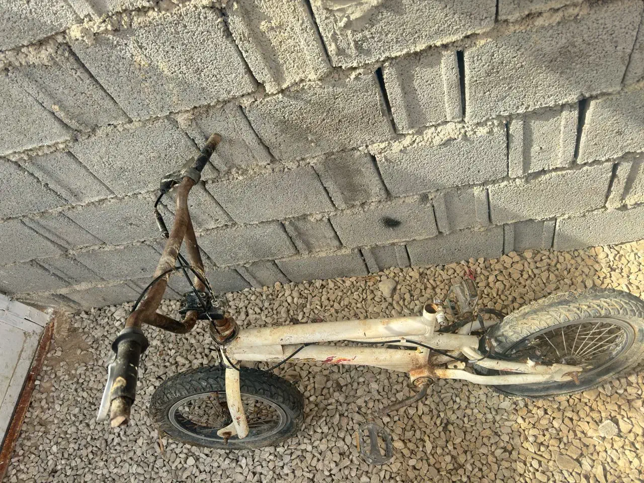 چند دستگاه دوچرخه دست دوم|دوچرخه، اسکیت، اسکوتر|برازجان, |دیوار