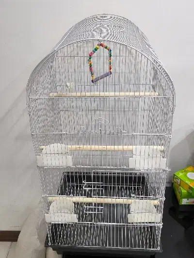 قفس بزرگ طوطی و عروس و ...|لوازم جانبی حیوانات|کرج, باغستان|دیوار