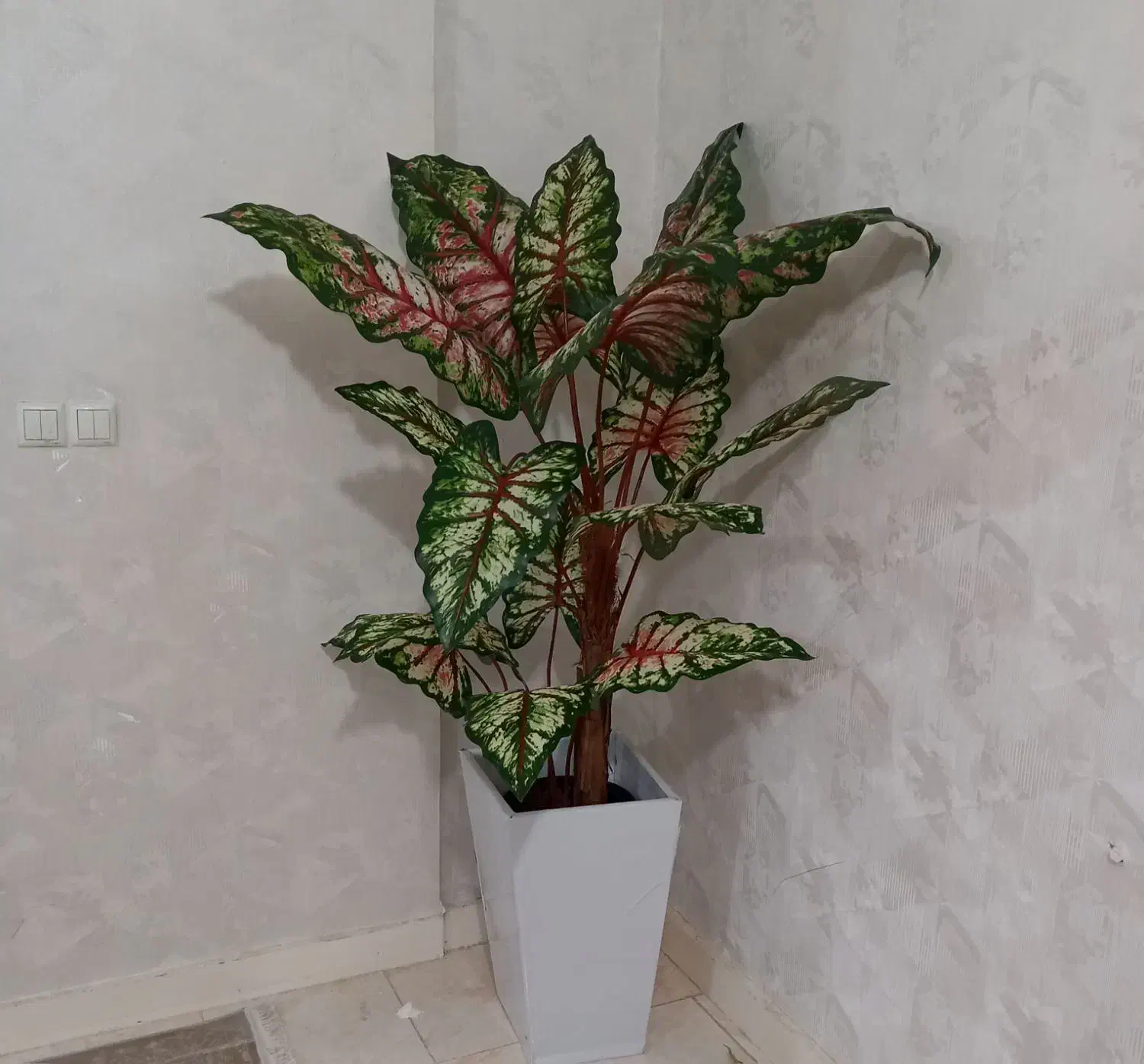 درختچه برگ پهن|گل مصنوعی|خرمآباد, |دیوار