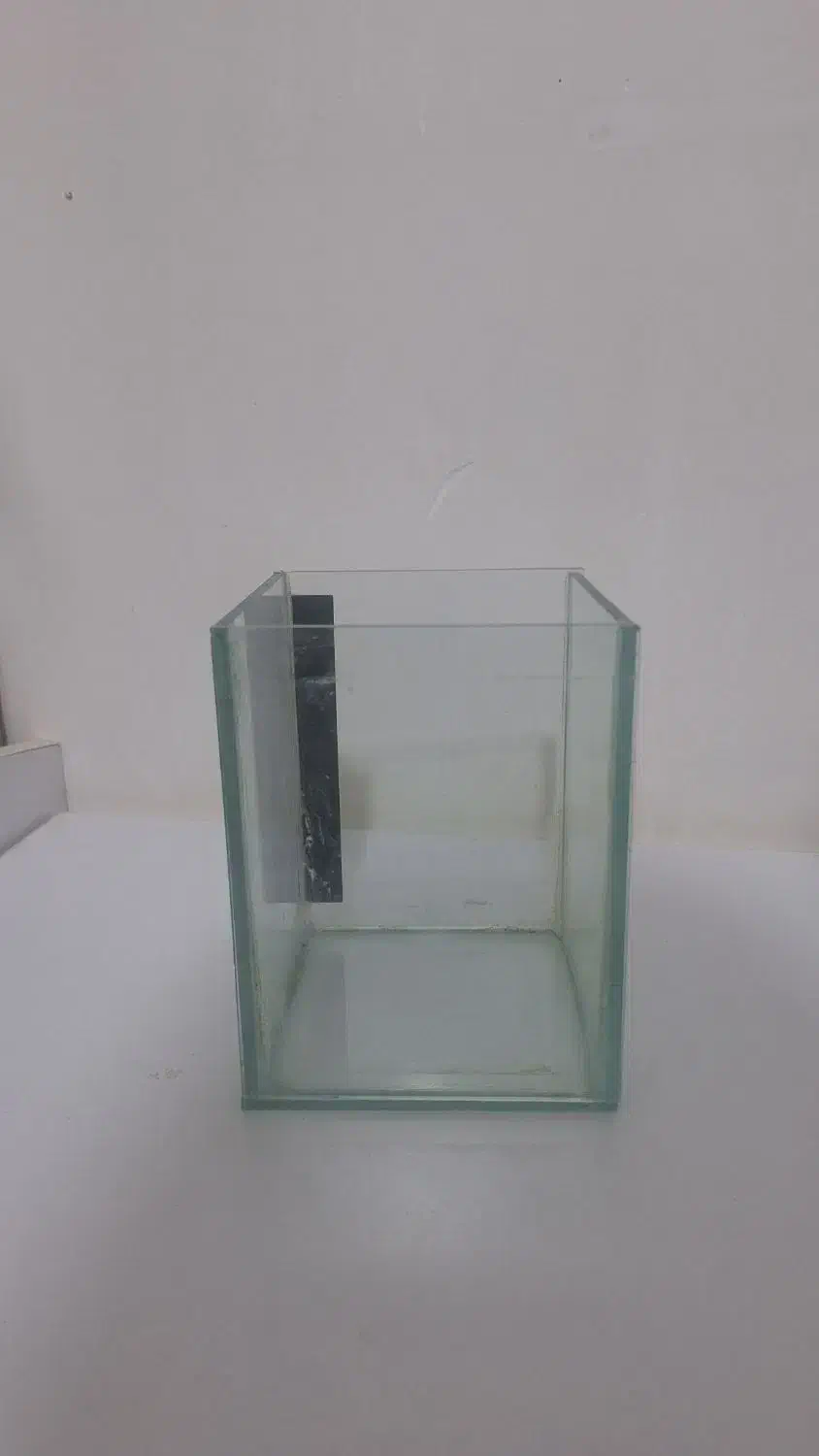 آکواریوم فایتر|ماهی|زنجان, |دیوار