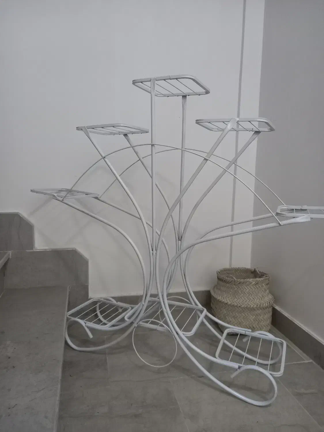 استند گل ۸ تایی|گل و گیاه طبیعی|باسمنج, |دیوار