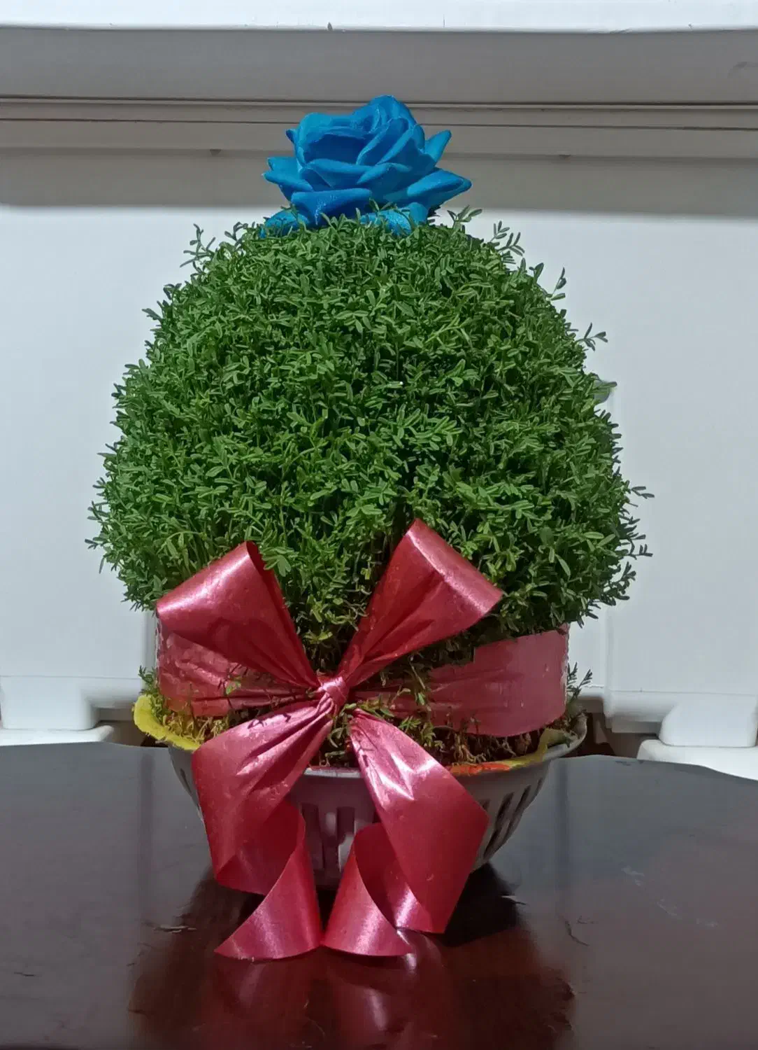 فروش سبزه|گل و گیاه طبیعی|خرمآباد, |دیوار