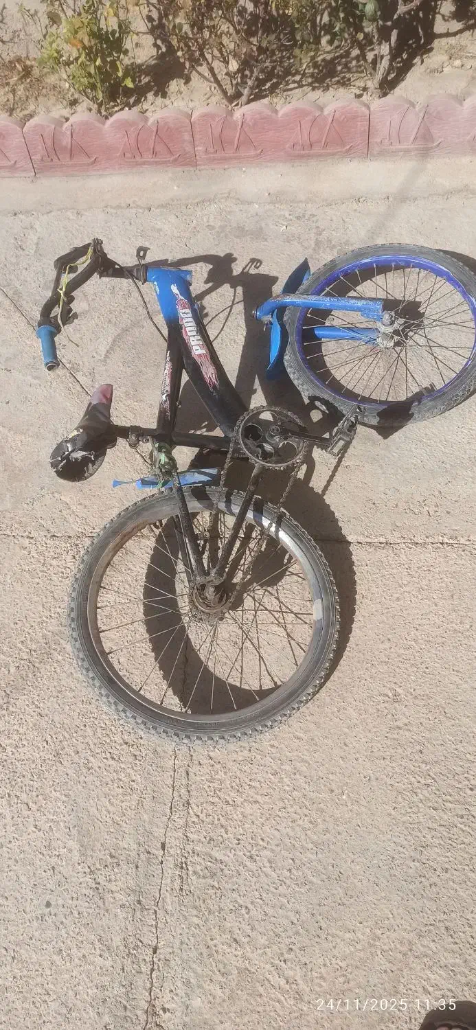 دوتا دوچرخه|دوچرخه، اسکیت، اسکوتر|سیلاخور, |دیوار