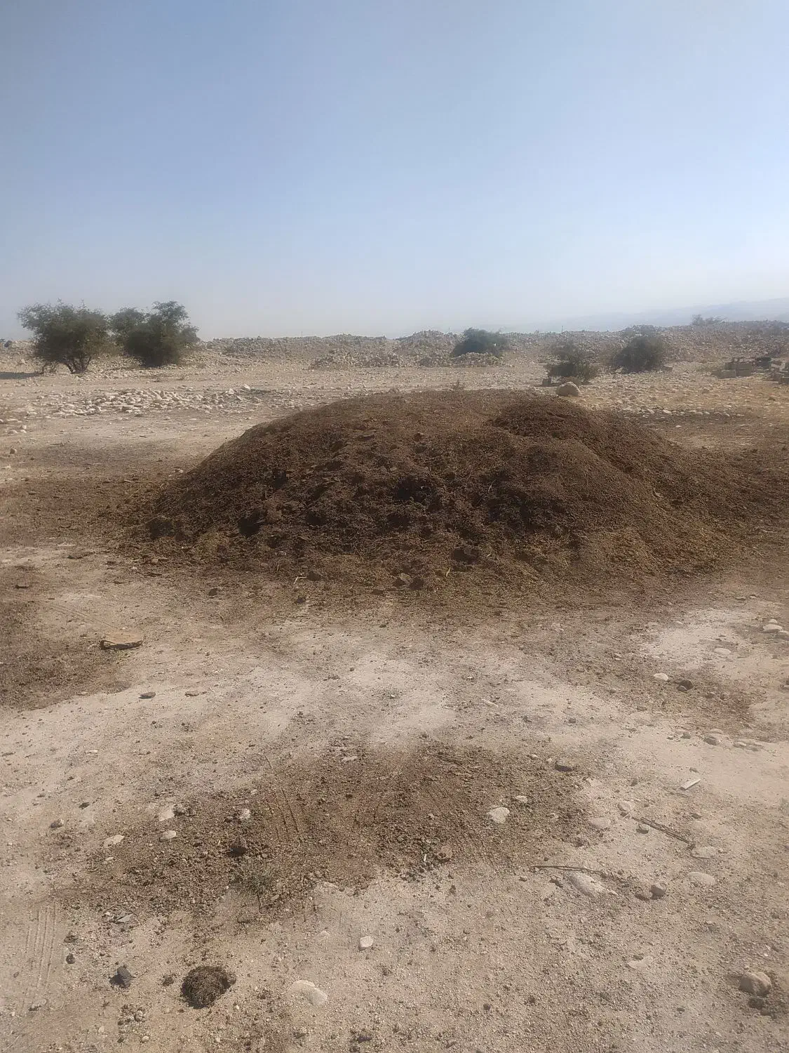 کود حیوانی (پِهِن بز )به فروش می رسد|خدمات باغبانی و درختکاری|گله دار, |دیوار