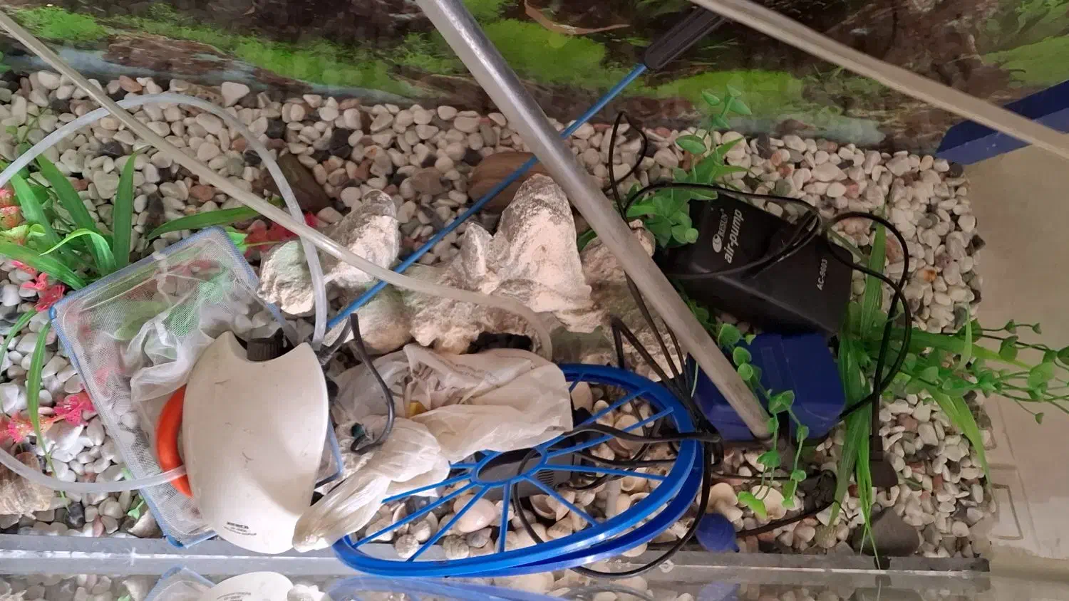 آکواریوم سایز بزرگ همراه پایه و تجهیزات کامل|ماهی|بندرعباس, |دیوار