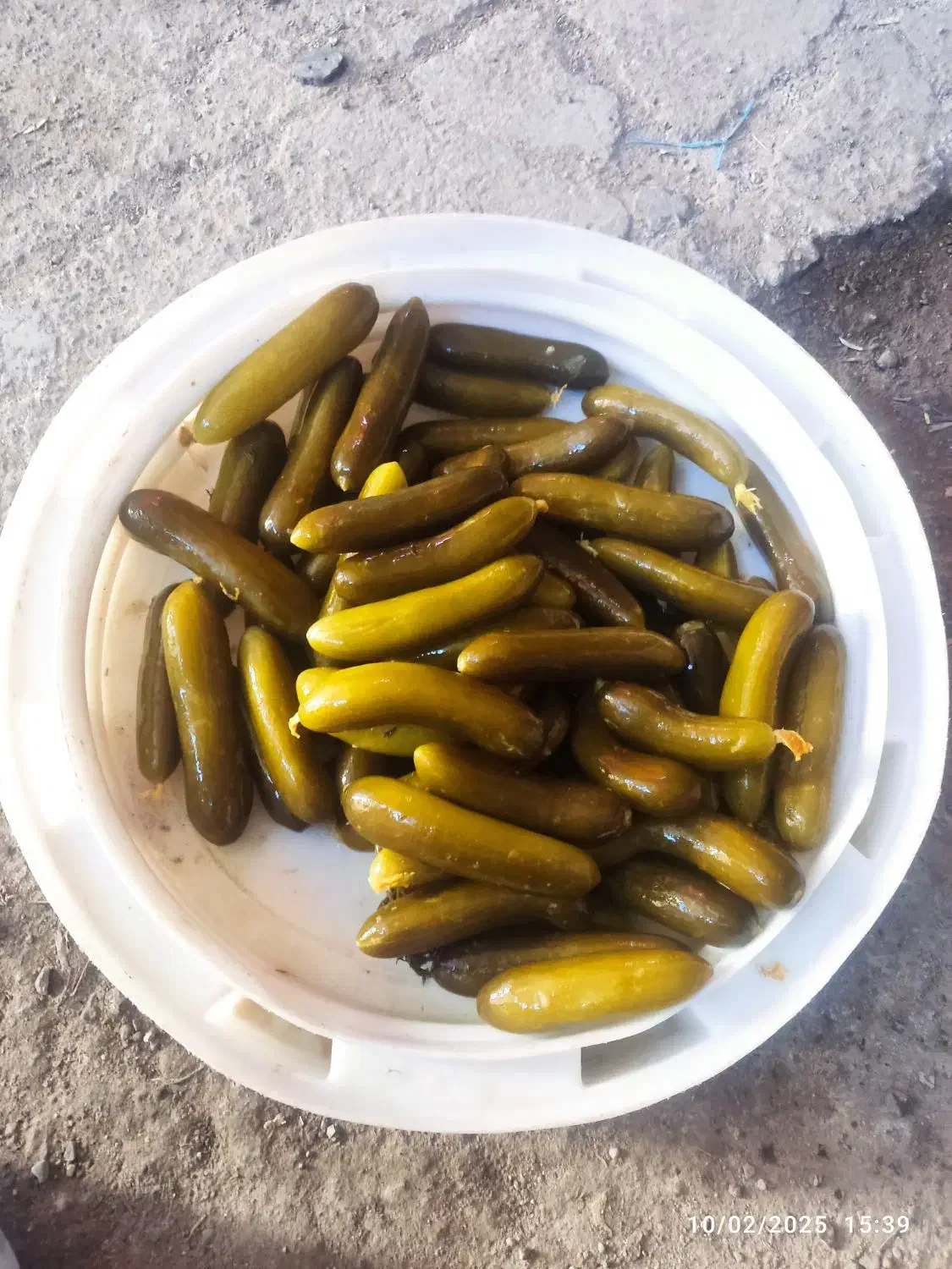 بخش خیار شور خوش طعم وباکیفعت|خوردنی و آشامیدنی|محمدشهر, جعفرآباد|دیوار