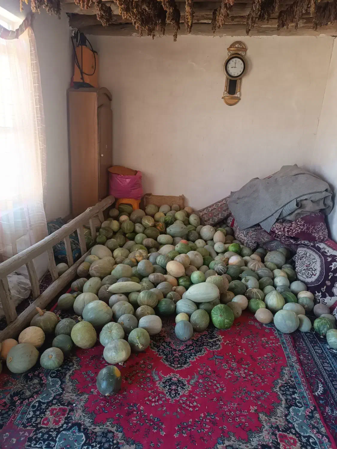 سلام 500کیلو کدو حلوایی خیلی عالی فقط یکجایی|خوردنی و آشامیدنی|قره چای, |دیوار