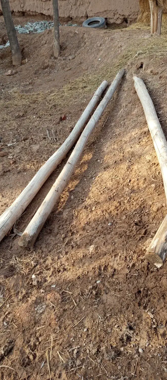 تیر فروشی|حراج|اسفراین, |دیوار