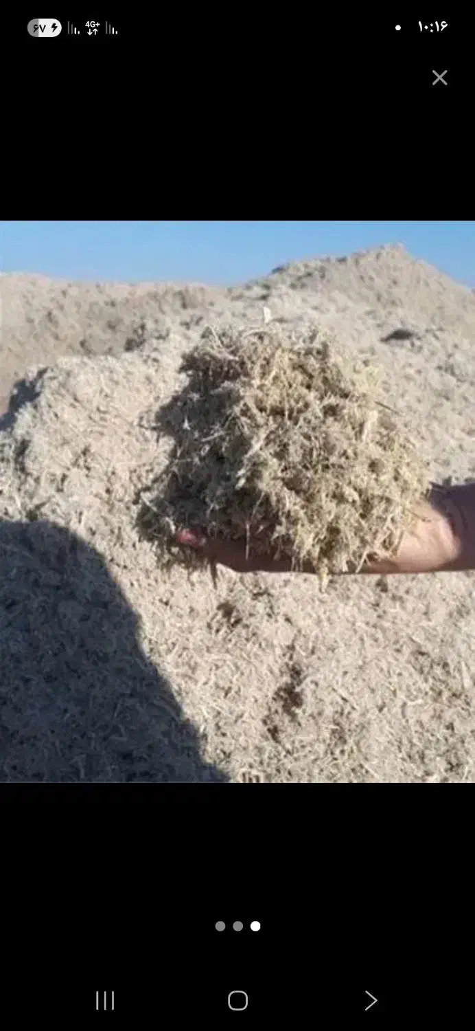 باگاس نیشکر خوزستان|عمده‌فروشی|کارون, |دیوار