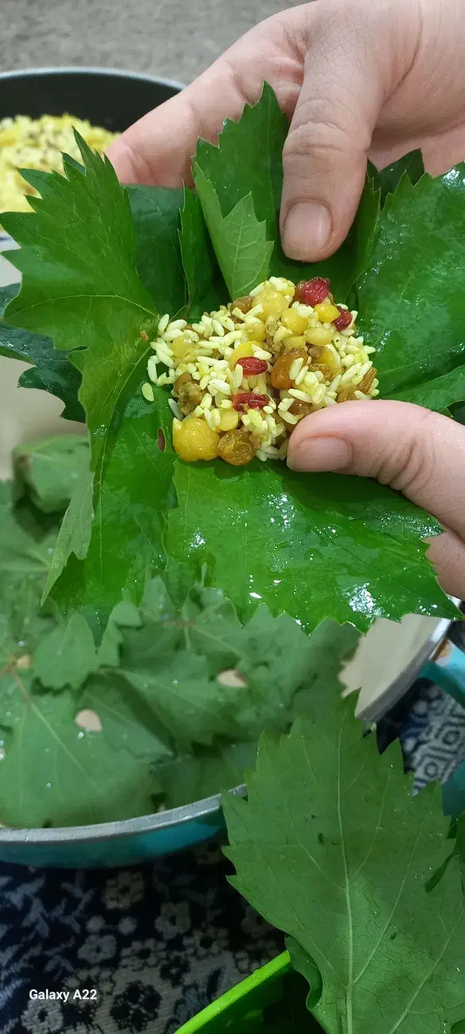 دلمه برگ انگور|خوردنی و آشامیدنی|اهواز, باغ شیخ|دیوار