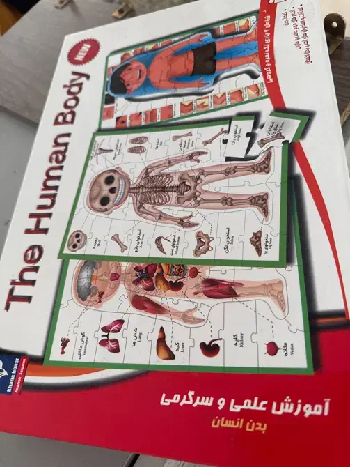 مجموعه ماشینهای ABS کودک با تخفیف ویژه|اسباببازی|مشهد, فرهنگ|دیوار