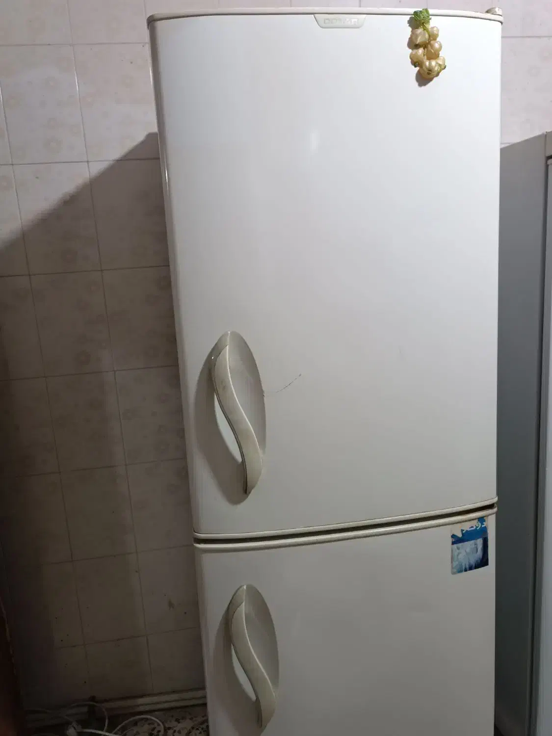 یخچال فریزر دونار|یخچال و فریزر|شوشتر, |دیوار