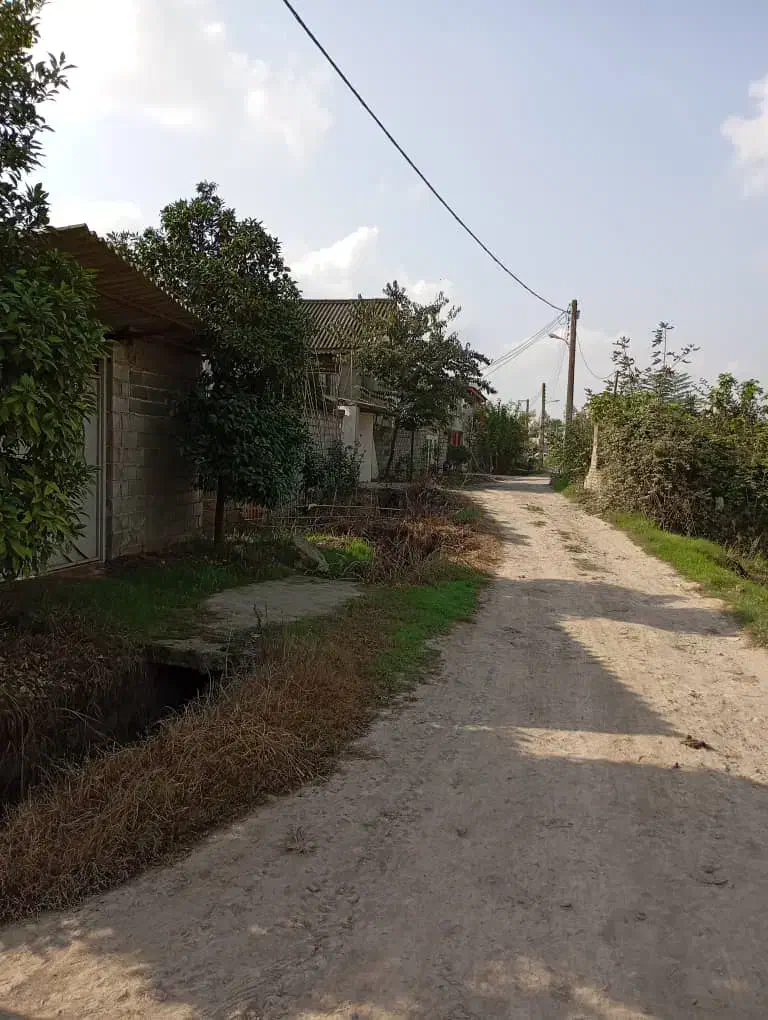 چسبیده به بافت مناسب شهرک سازی و خونه باغ|فروش زمین و ملک کلنگی|دابودشت, |دیوار