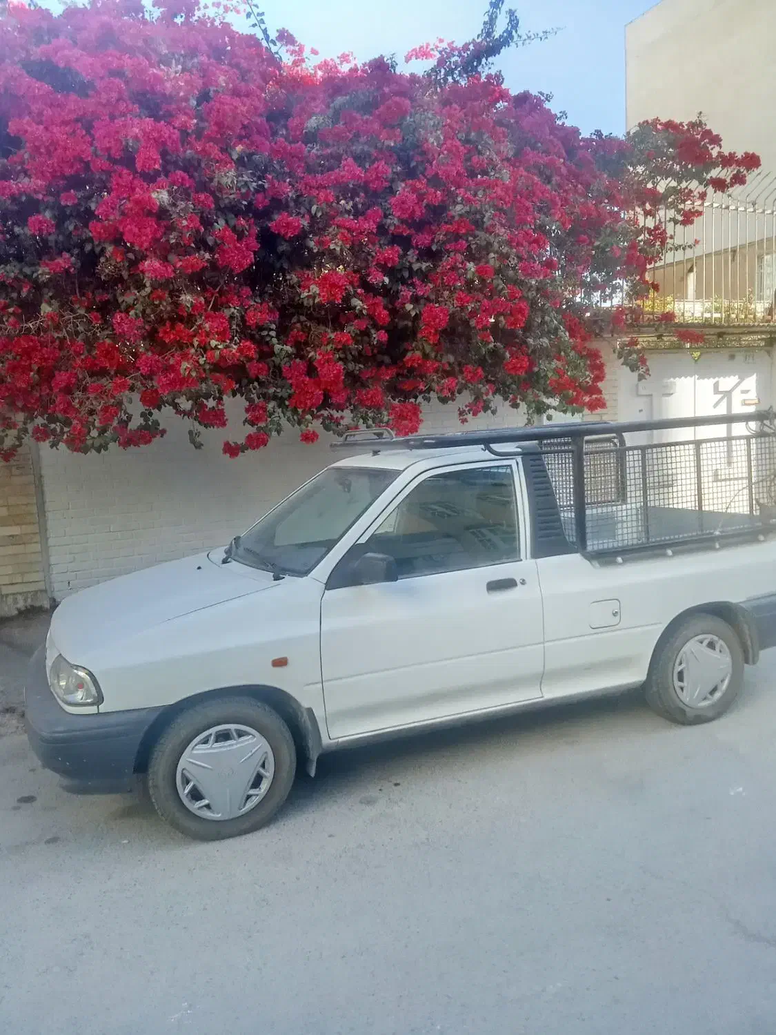 پراید وانت 1403|خودرو سواری و وانت|شیراز, صاحب الزمان|دیوار