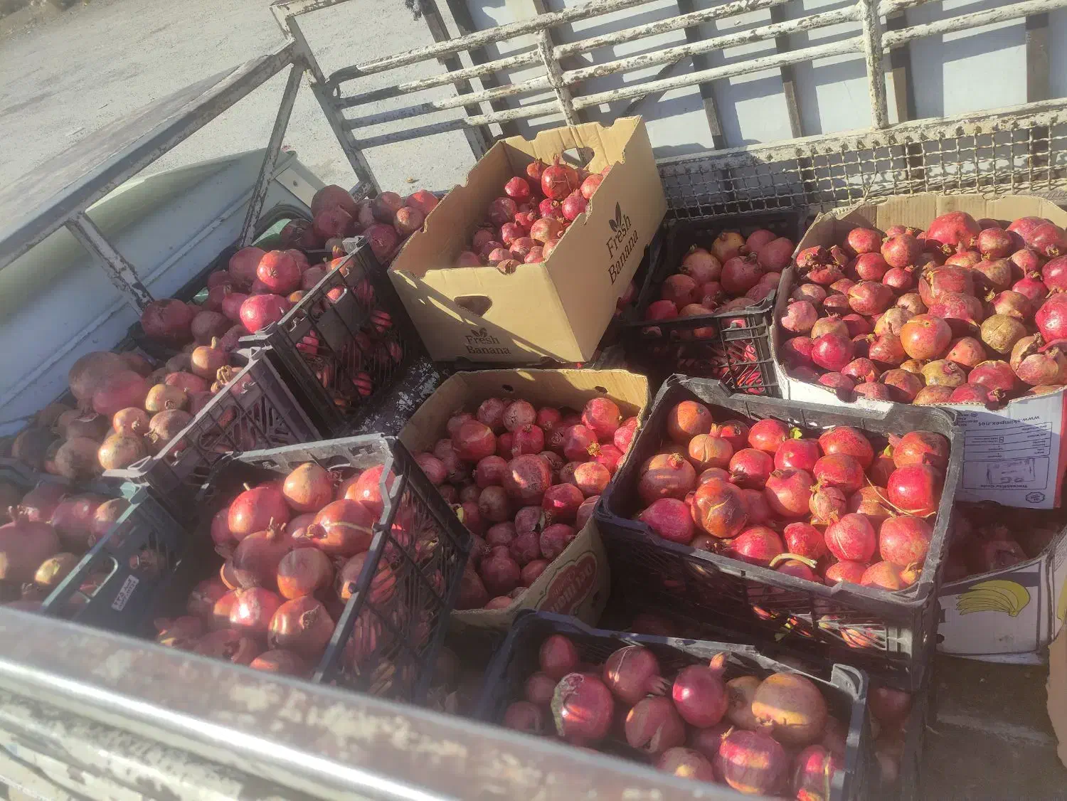 انار ربی وابگیری|خوردنی و آشامیدنی|لردگان, |دیوار