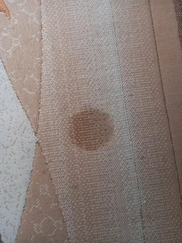 گلیم فرش ۶ متری|گلیم، جاجیم، گبه|همدان, |دیوار