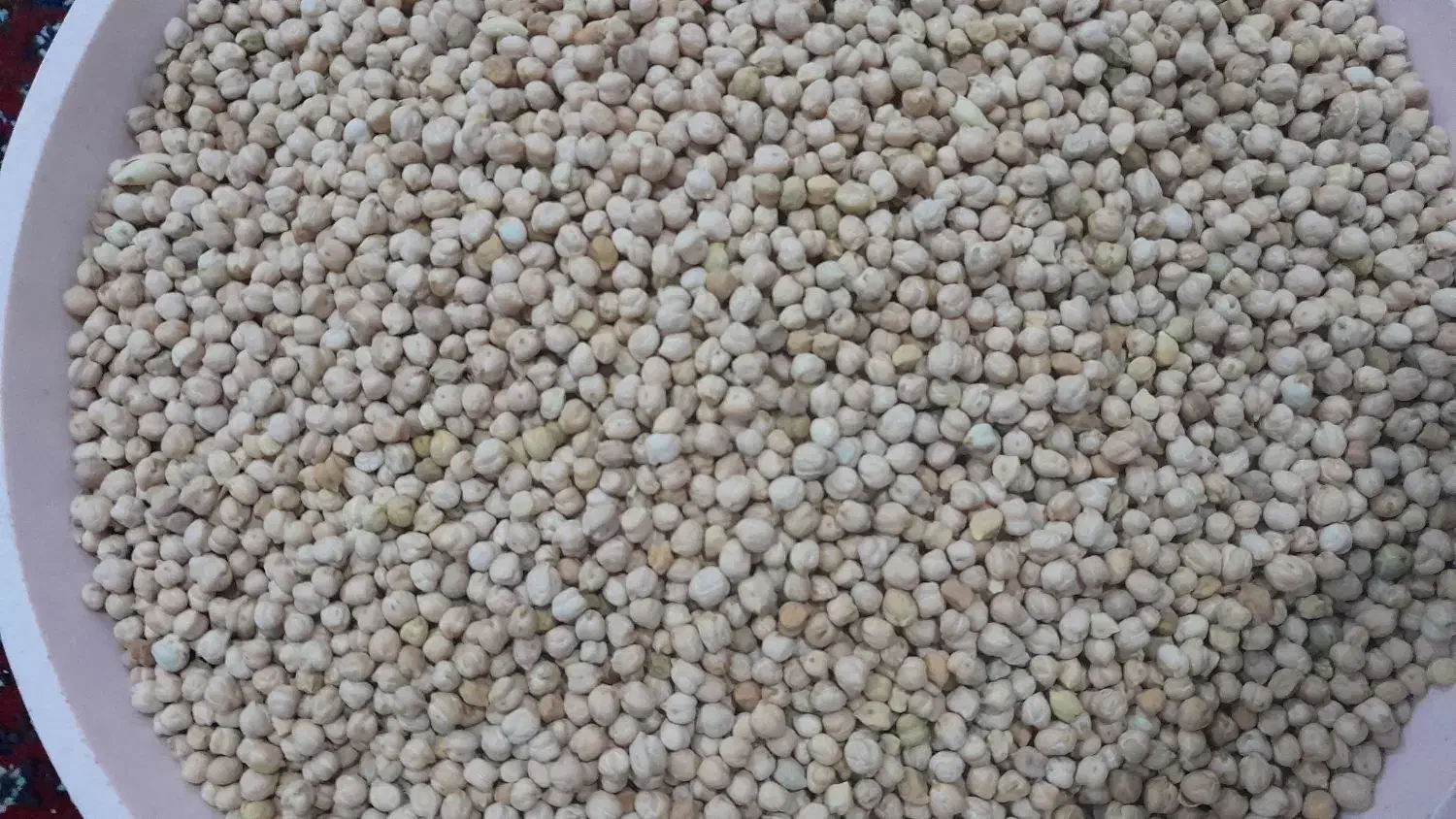 حبوبات|خوردنی و آشامیدنی|ایجرود, |دیوار