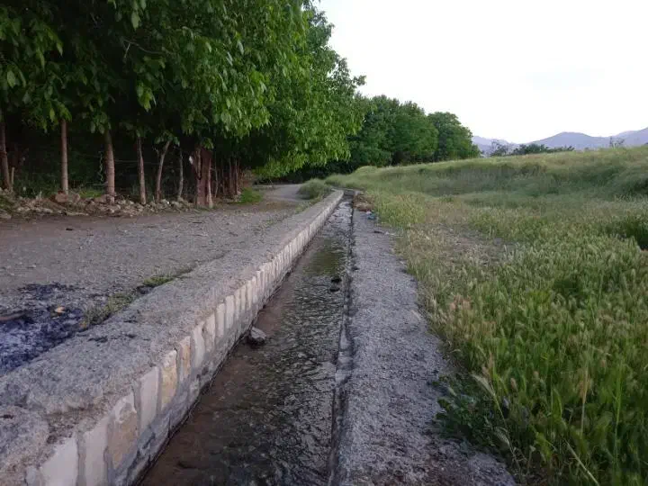 کارخانه بسته بندی|استخدام صنعتی، فنی، مهندسی|همدان, |دیوار