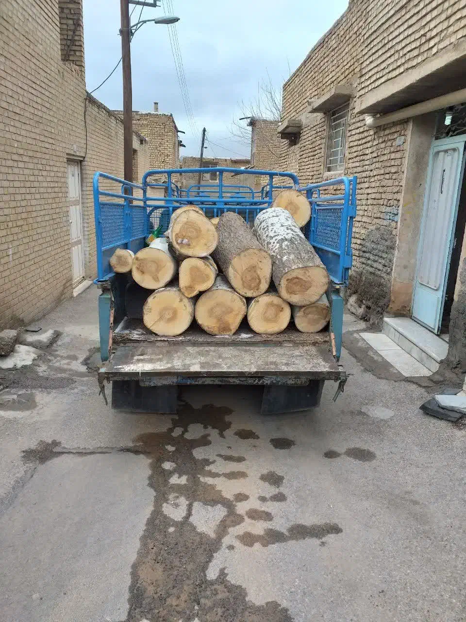 خرید و بورش انواع چوب|خدمات باغبانی و درختکاری|مبارکه, |دیوار