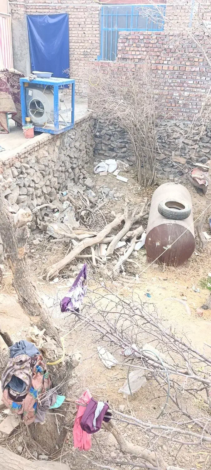 فروش کنده درخت|عمدهفروشی|گزیک, |دیوار