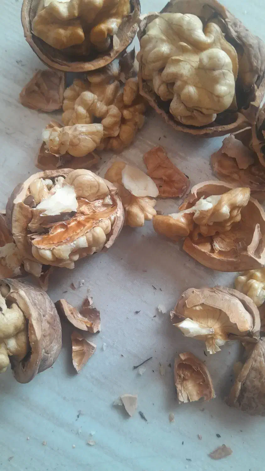 گردودرجه‌یک‌سمت‌بقمچ‌بلوارتوس‌۳۰۰کیلو|خوردنی و آشامیدنی|مشهد, امیرآباد|دیوار