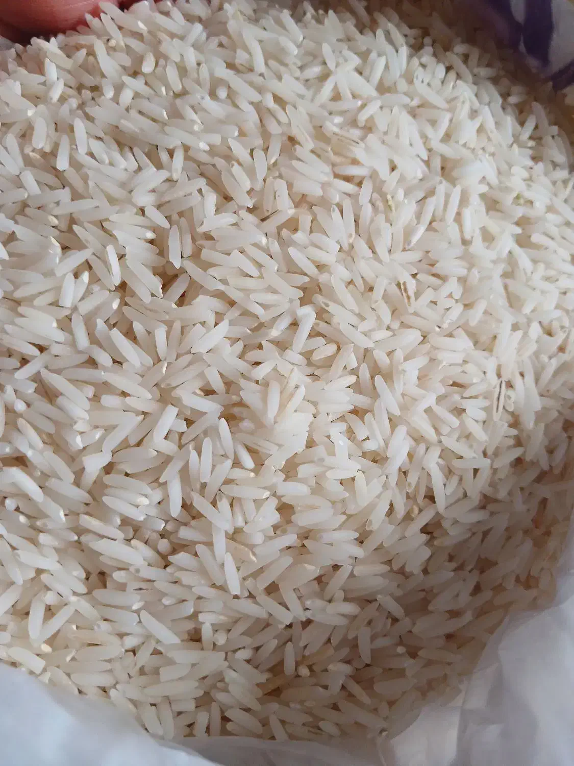 برنج دم سیای اعلا|خوردنی و آشامیدنی|شفت, |دیوار