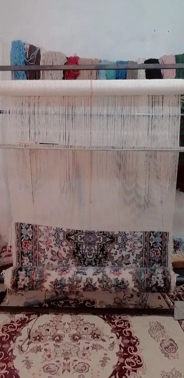 فروش قالی|فرش|یزد, |دیوار