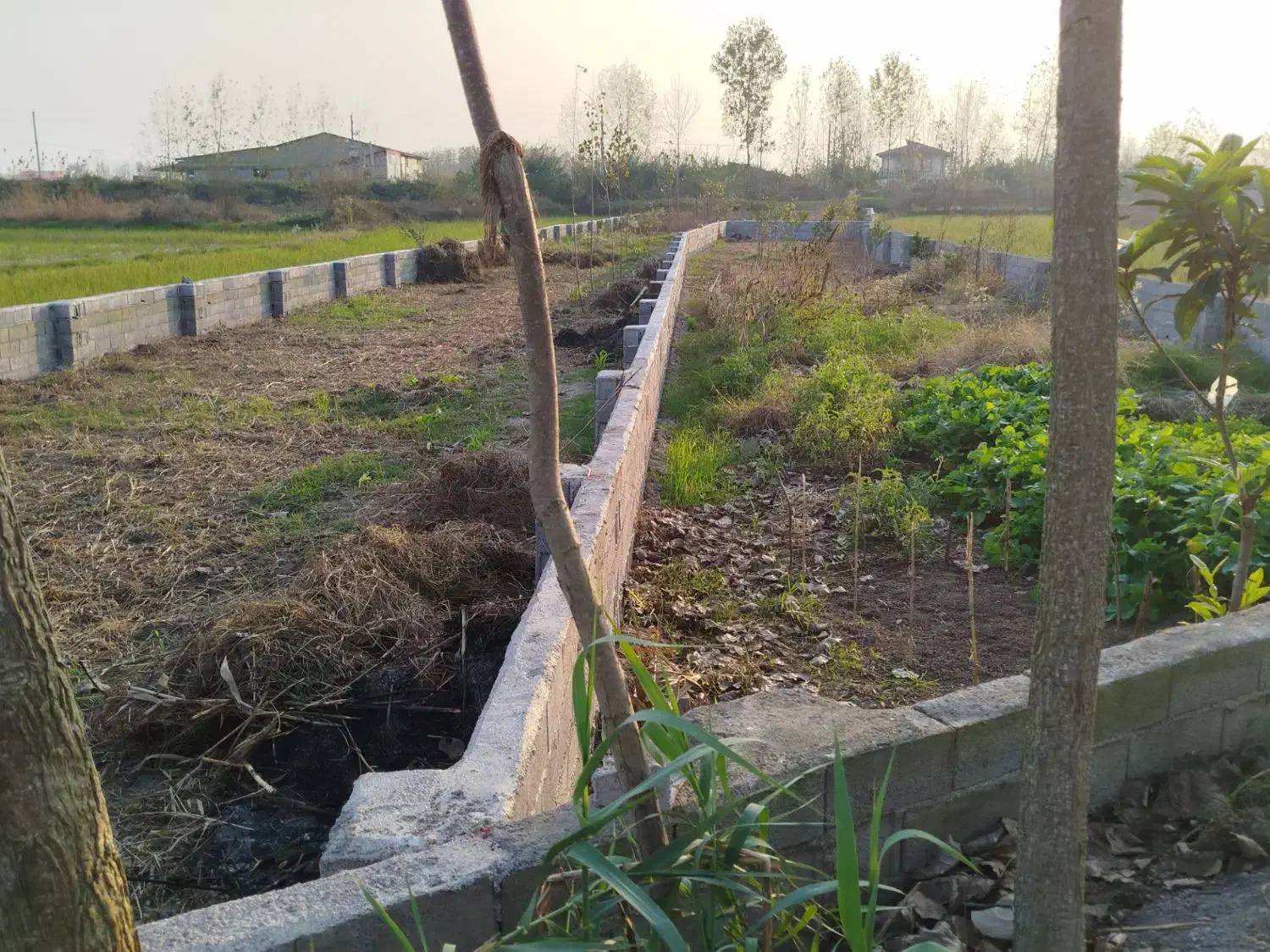 فروش فوری زمین|فروش زمین و ملک کلنگی|رودبنه, |دیوار