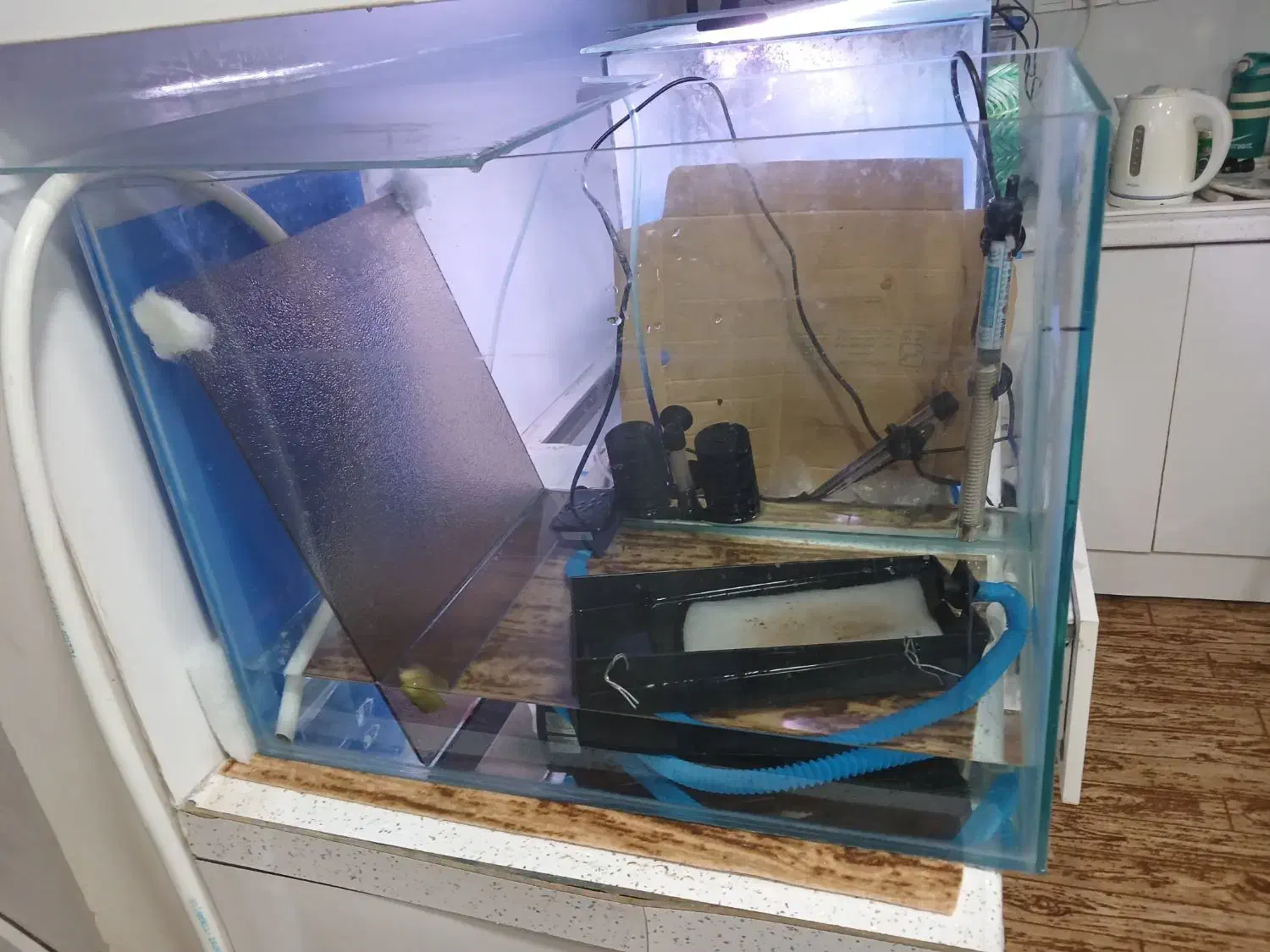 اکواریوم|ماهی|اهواز, کمپلو شمالی|دیوار