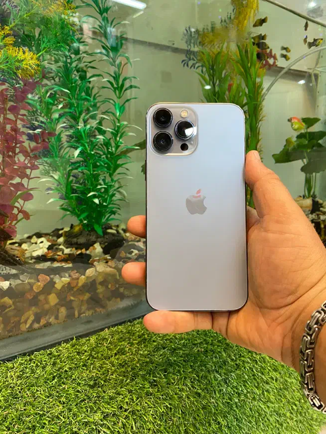 iPhone 13 Pro Max|موبایل|مراغه, |دیوار