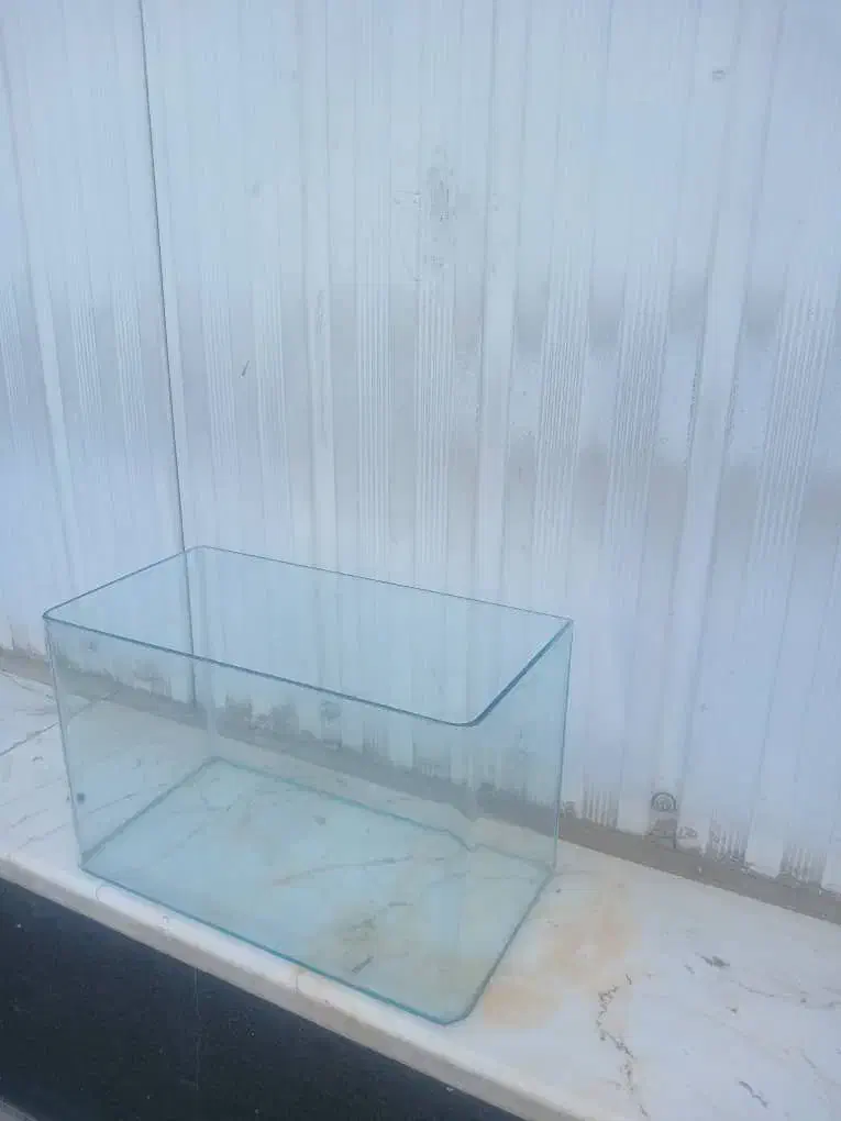 آکواریوم ماهی|ماهی|ری, تقی آباد|دیوار