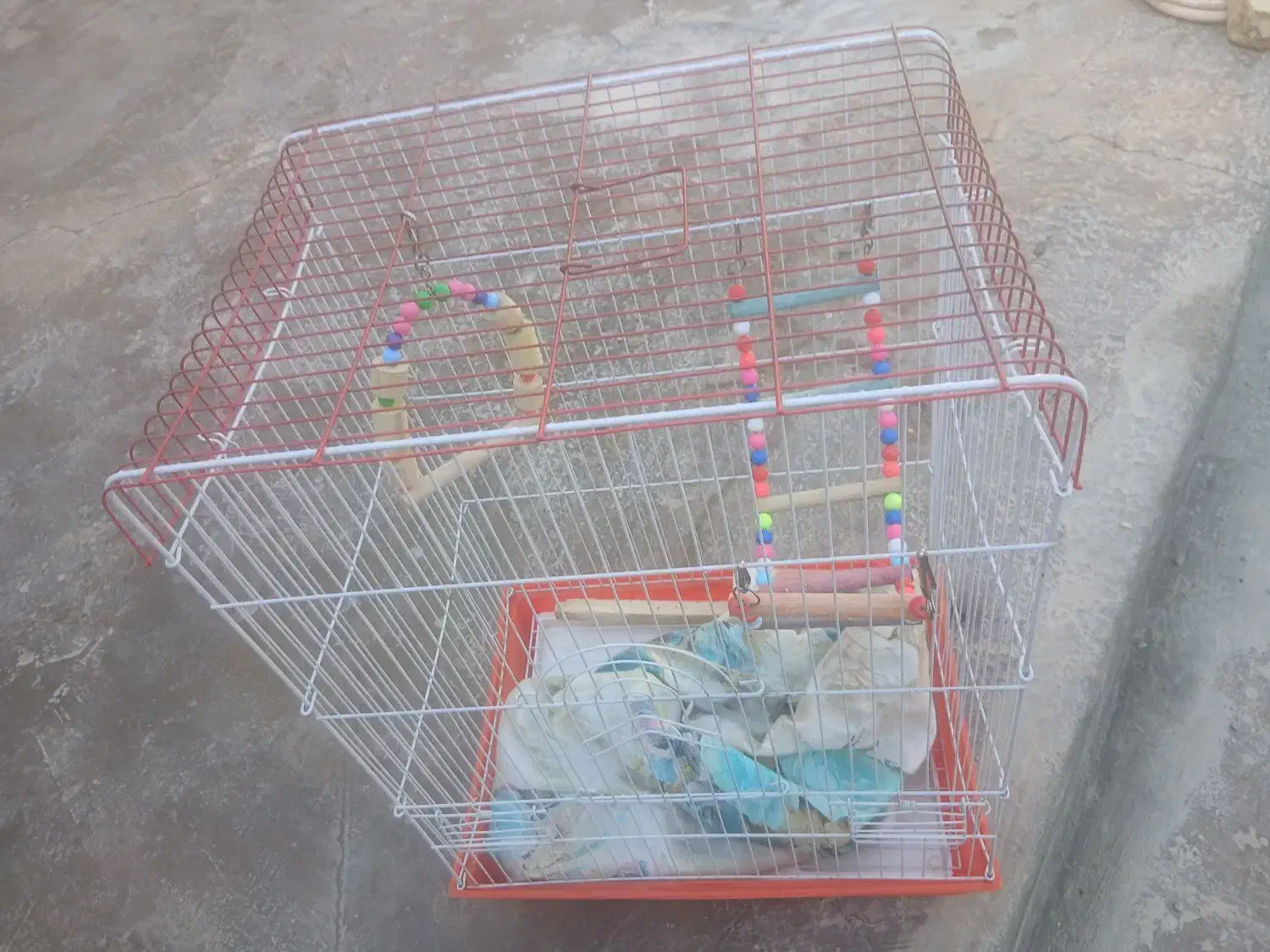 قفس بزرگ|لوازم جانبی حیوانات|دشتابی, |دیوار