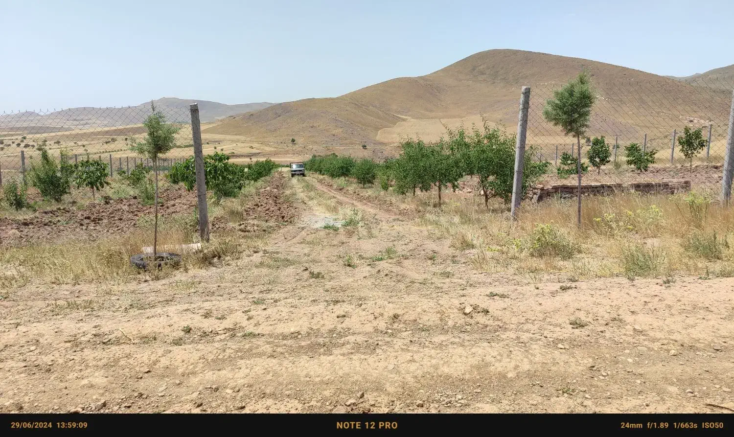 باغ ۱۰ ساله فنس کشی با ۳۰۰ تا نهال و چاه آب|فروش زمین و ملک کلنگی|محمدیه-قزوین, |دیوار