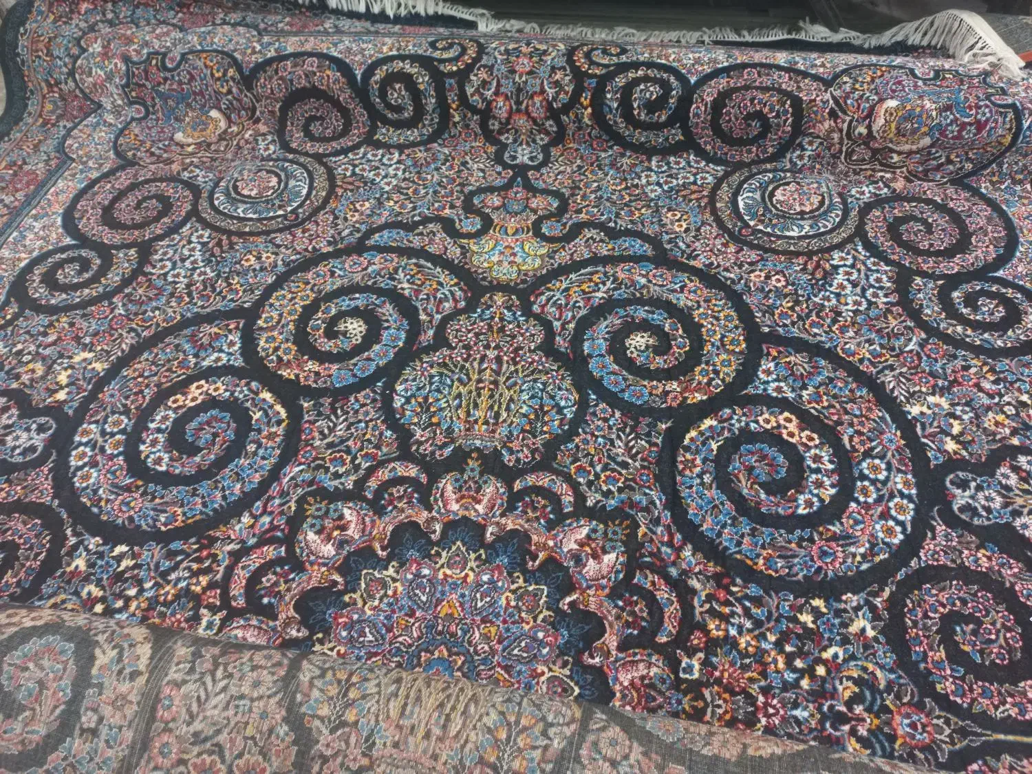 پادری فرش هم دارم|فرش|بندرعباس, |دیوار