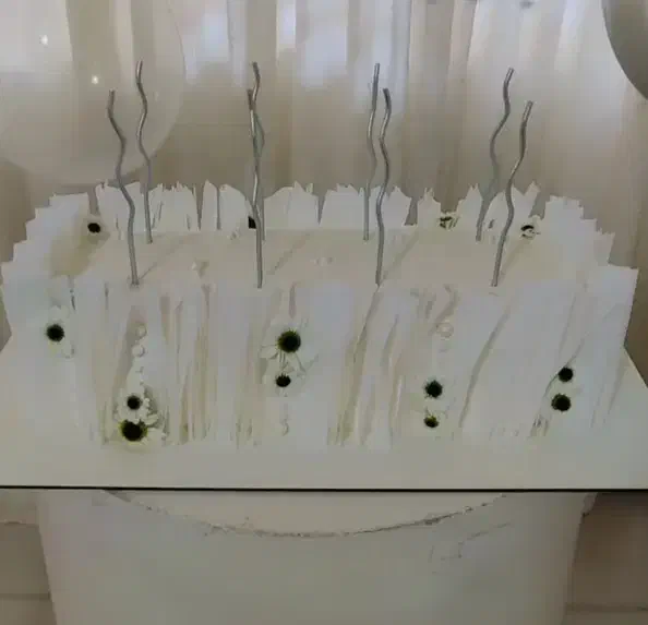 کیک خونگی|خدمات پذیرایی، مراسم|بجنورد, |دیوار