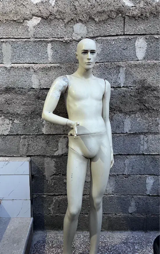 مانکن|فروشگاه و مغازه|شیراز, کوشک میدان|دیوار