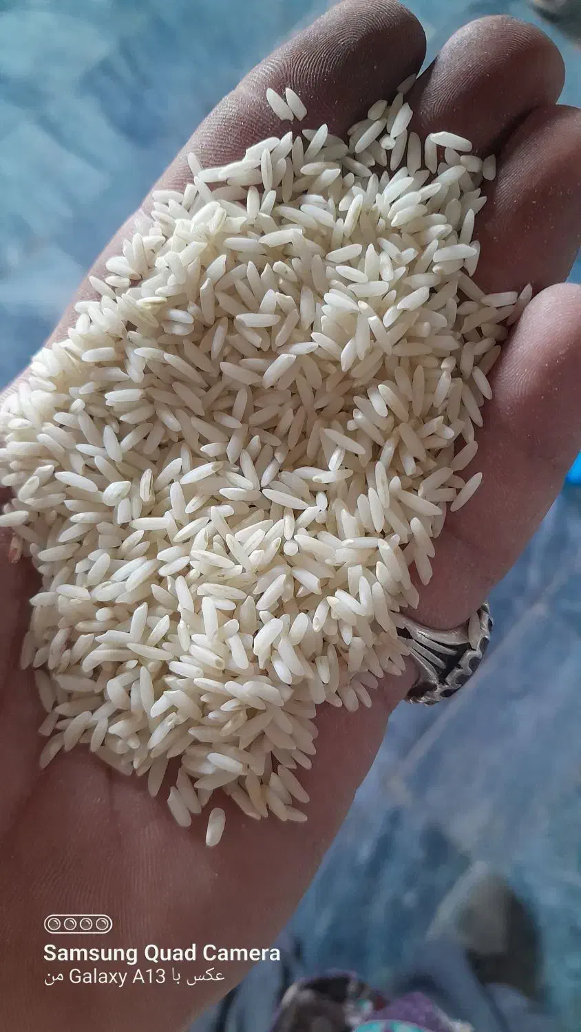 برنج دورود.برنج. سالم.برنج نیمدانه|خوردنی و آشامیدنی|دورود, |دیوار